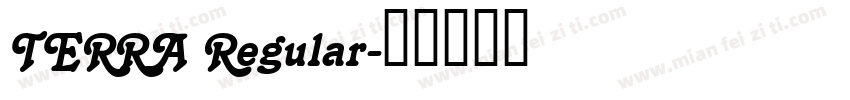 TERRA Regular字体转换
